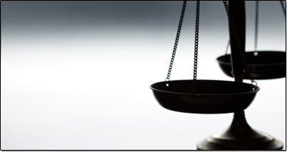 WHAT WE DO | LAWYER SUPPORT SERVICES